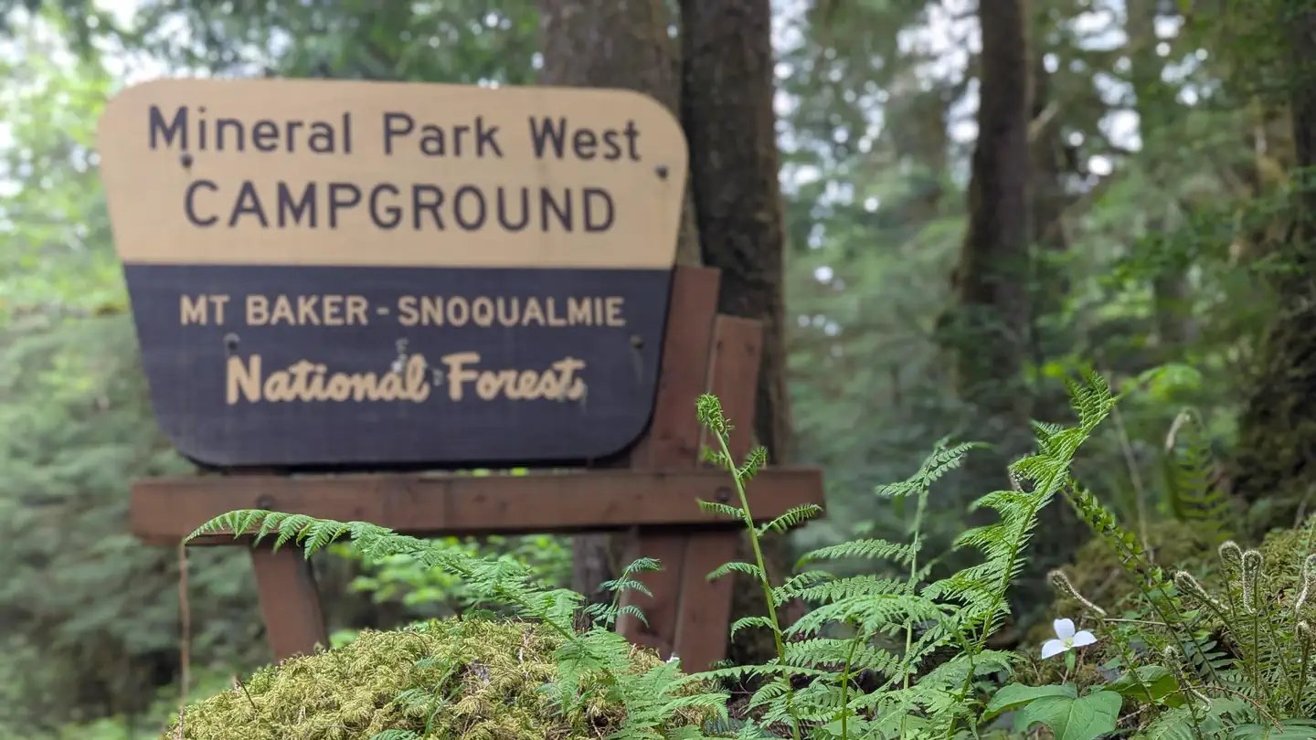 Mineral Park Campground