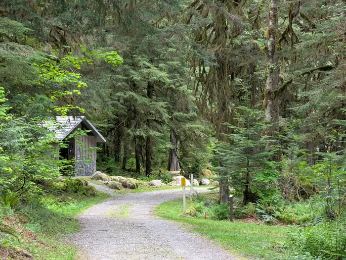 Mineral Park Campground area
