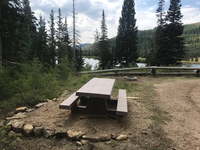 Potters Pond #12