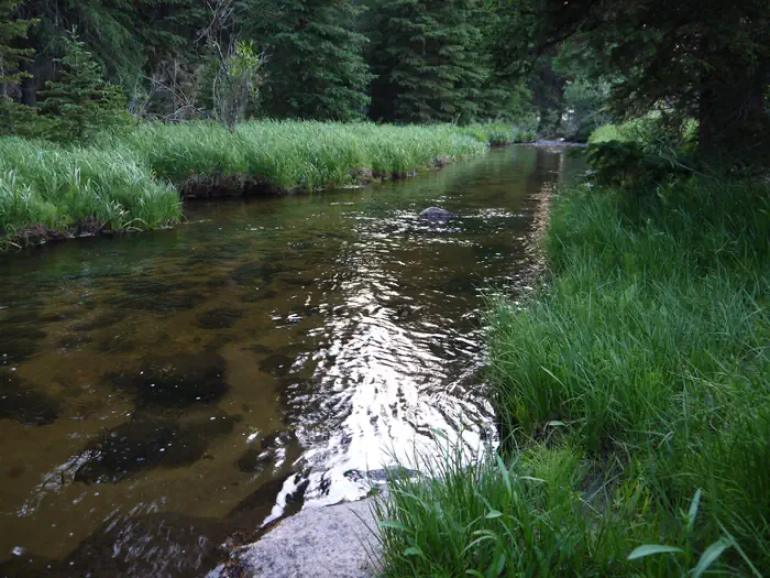 Shell Creek