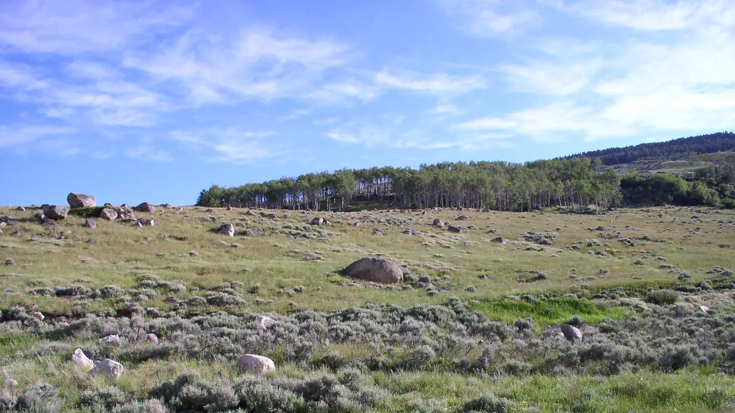 SHELL CREEK