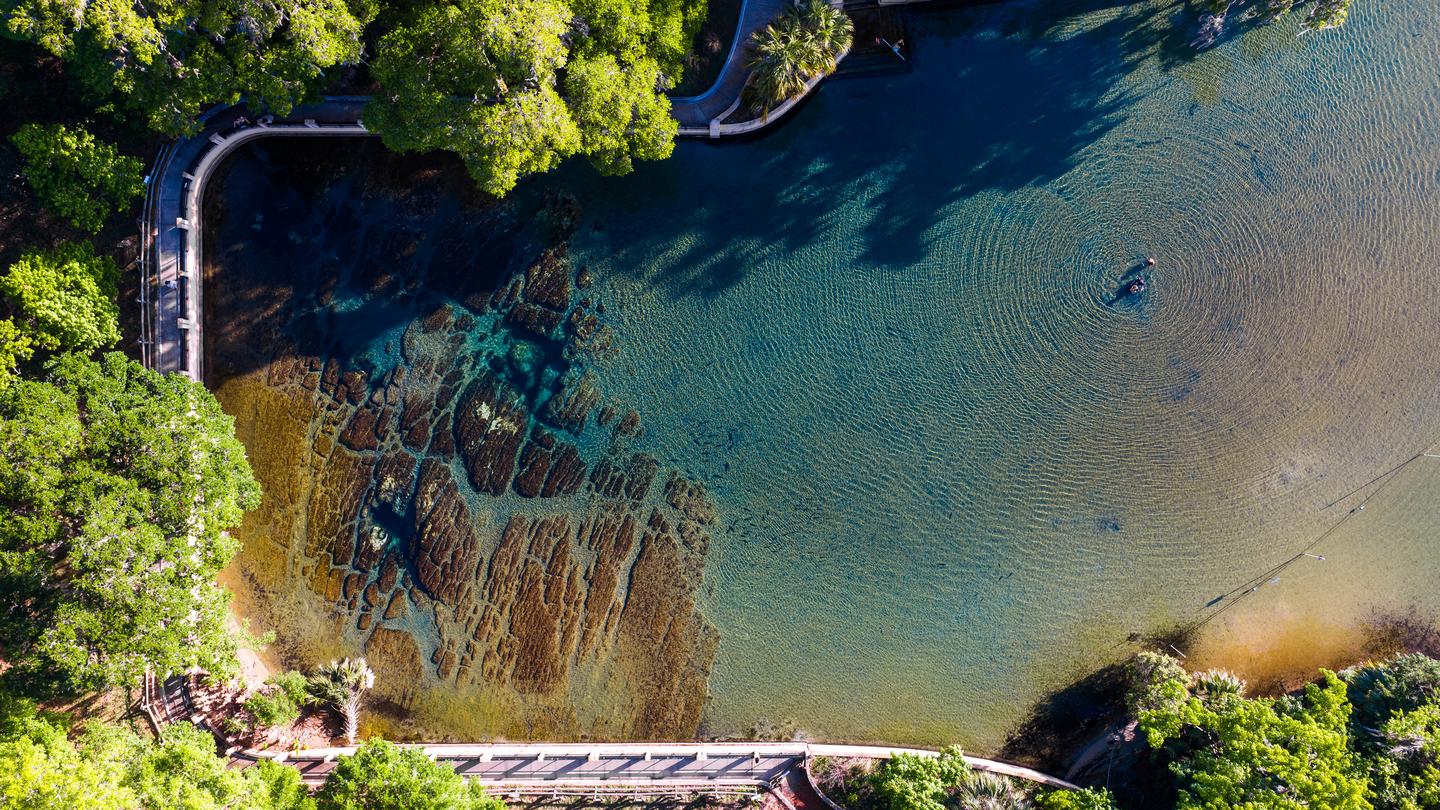 SALT SPRINGS RECREATION AREA