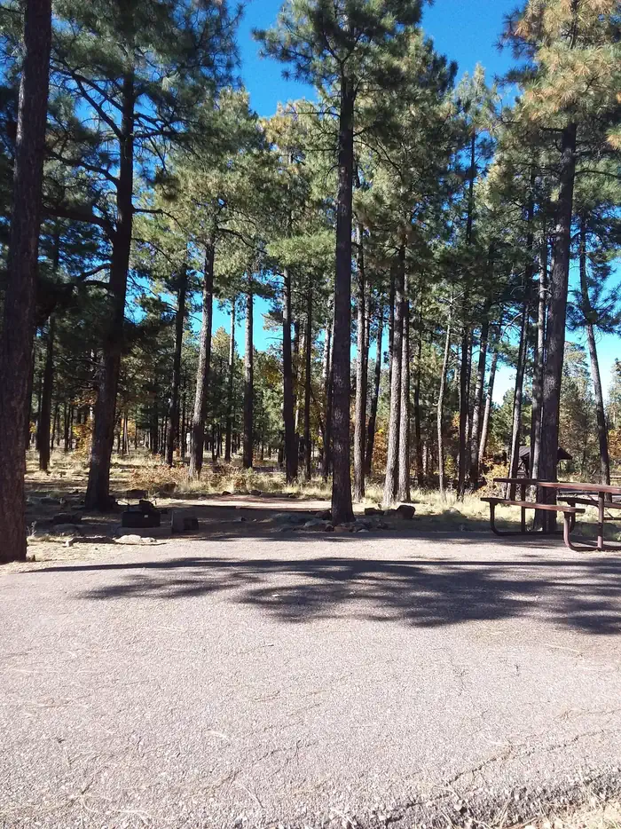 Crook Campground Loop A Site 1