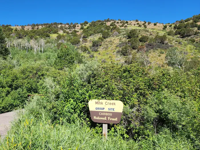 Mink Creek sign and view
