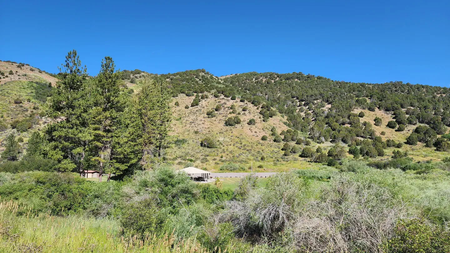 The view of Mink Creek from the road