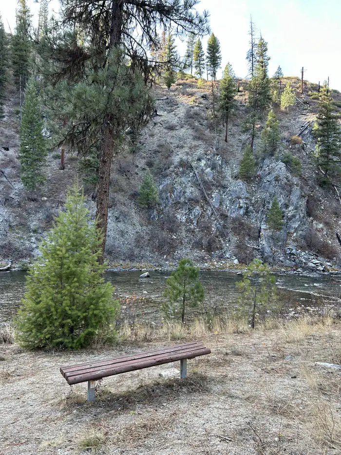 Bench in front of river