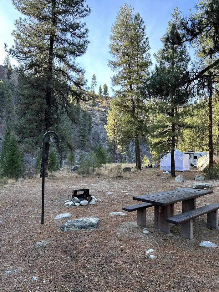 Campsite with picnic table, fire ring, and lantern hook