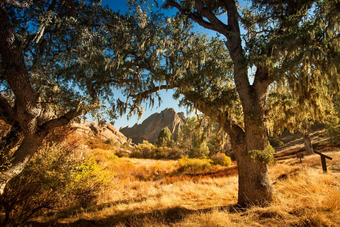Pinnacles National Park Campground
