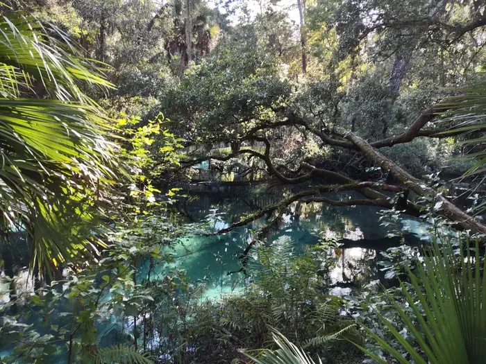 Natural Florida