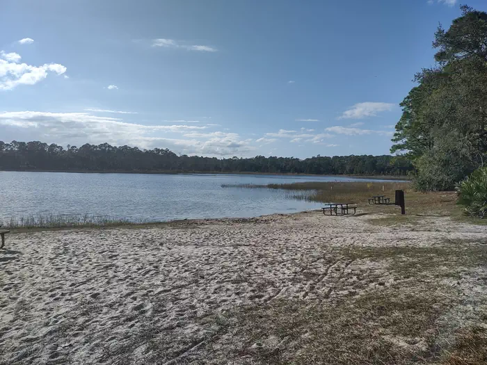 Shore of Clearwater Lake