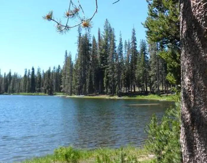 Summit Lake area