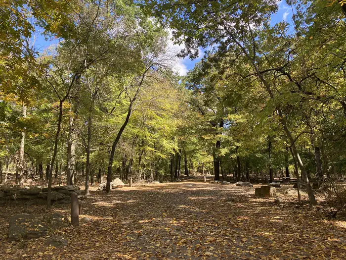 The entrance to Cold Springs Campground, covered in leaves and shaded by trees on each side.