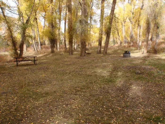 Tent site 1