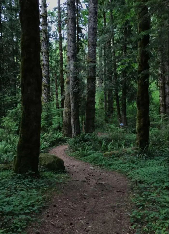 Old Mill Nature Trail