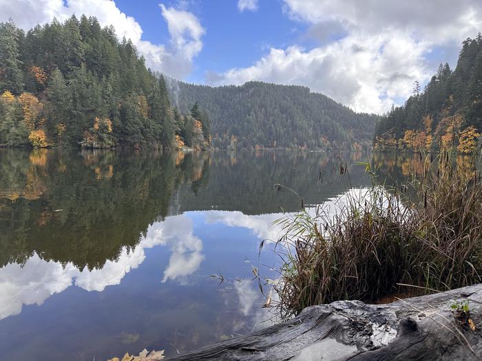 LOON LAKE RECREATION SITE