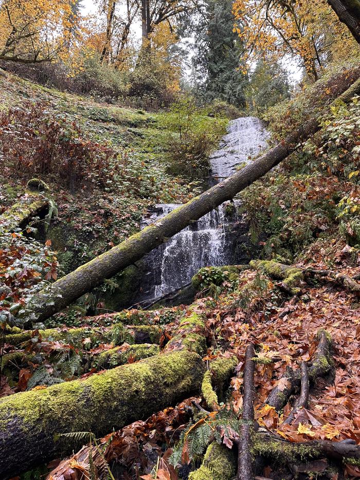 Waterfall on Elliott State Forest land accessed from Loon Lake day use area.