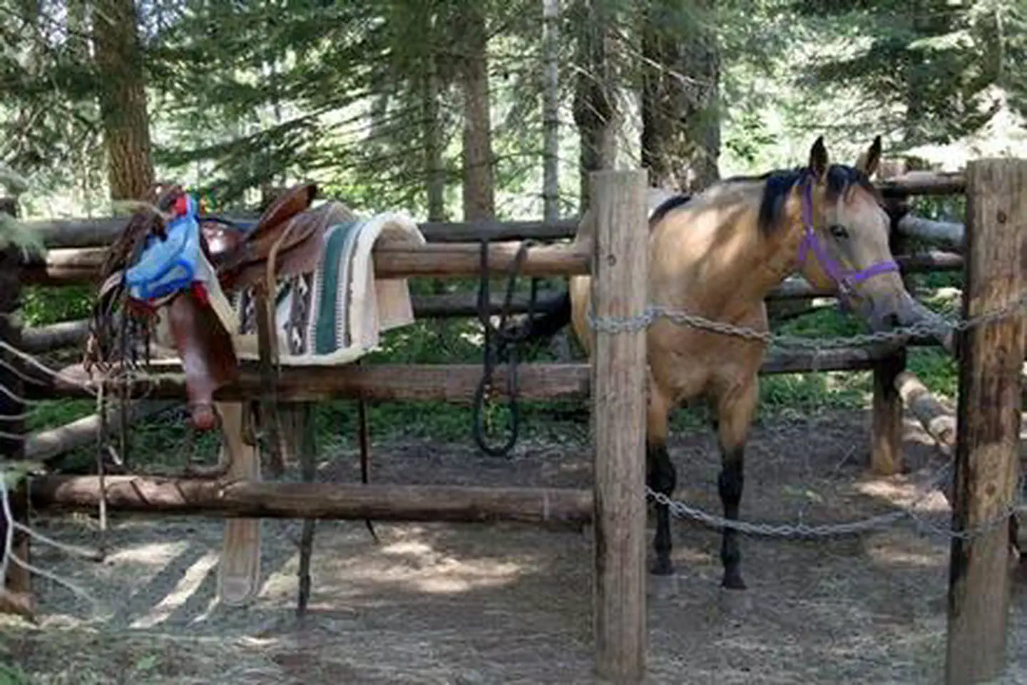 WILLOW PRAIRIE HORSECAMP