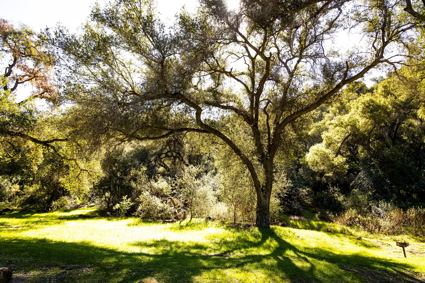 FREMONT CAMPGROUND