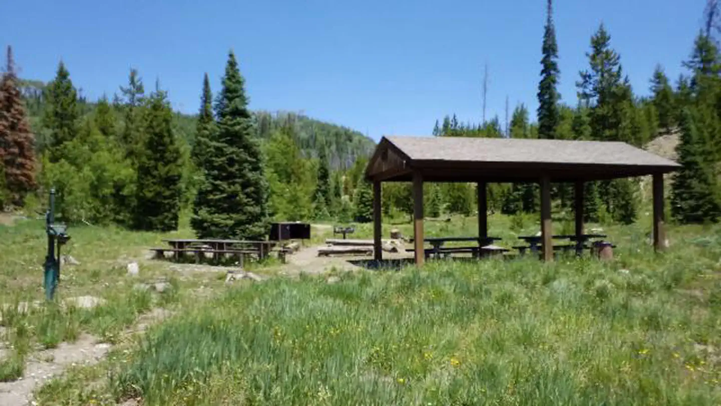Seedhouse Group Site - Medicine-Bow Routt NF (CO)