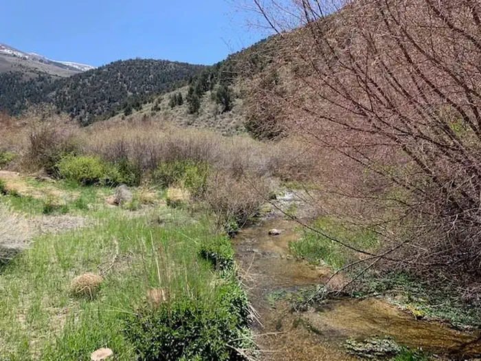View of Bird Creek from Group Site A