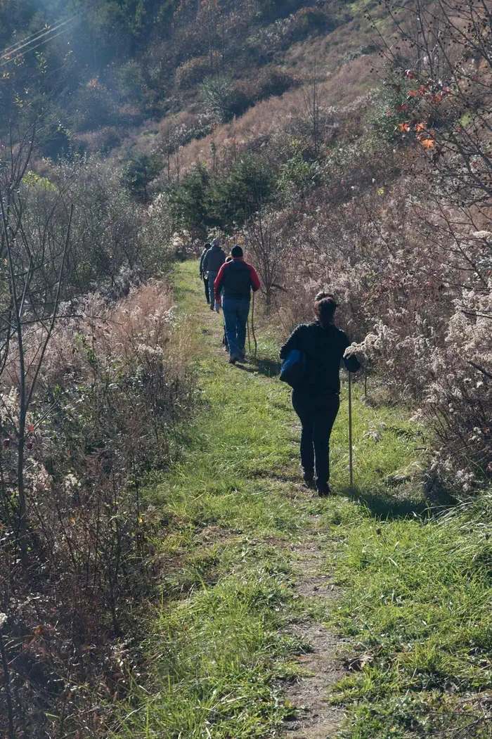Dewey Lake with the conjunction on Jenny Wiley State Park and the City of Prestonsburg offer serveral outstanding hiking opportunities.  Trail difficulities varies (and is indicated at all trailheads).