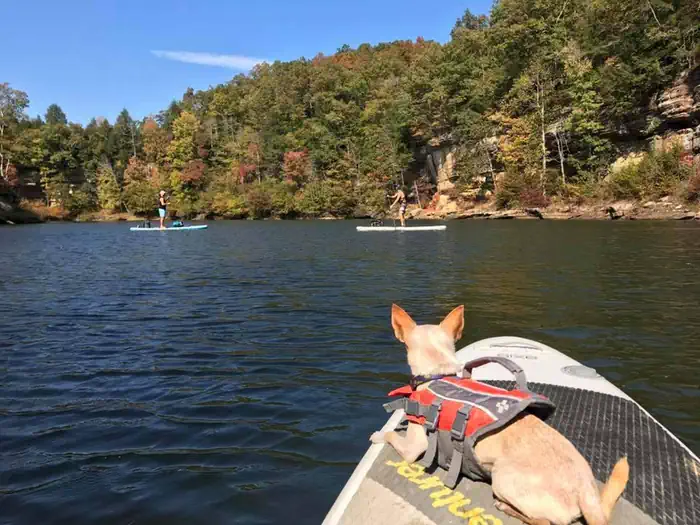 Paddle boarding at Grayson Lake