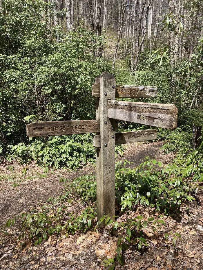 Trail junction