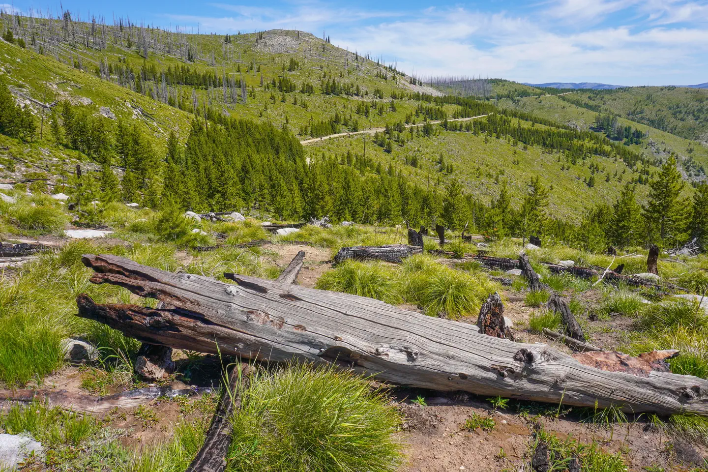 View from trail to lookout