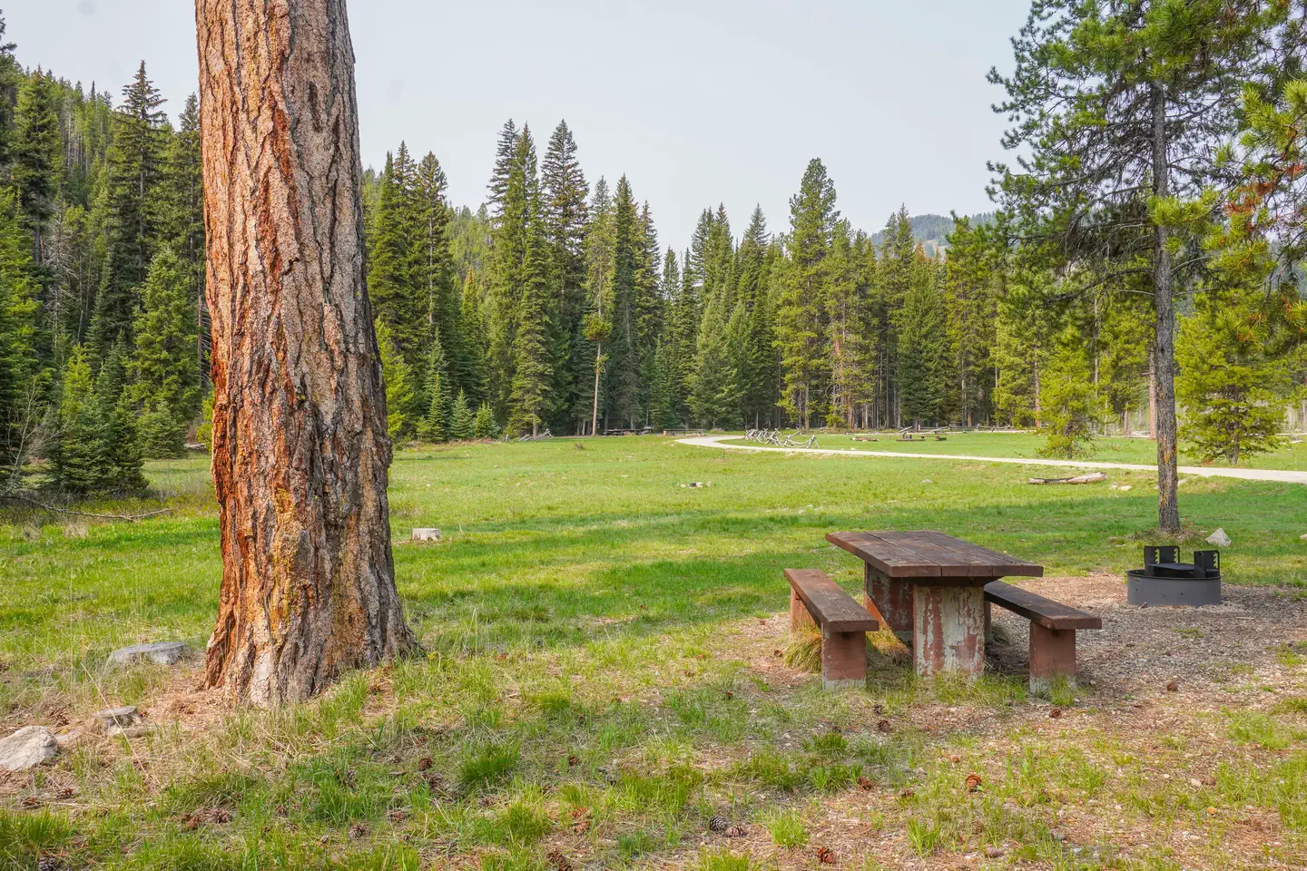 Fales Flat Group site (single table)