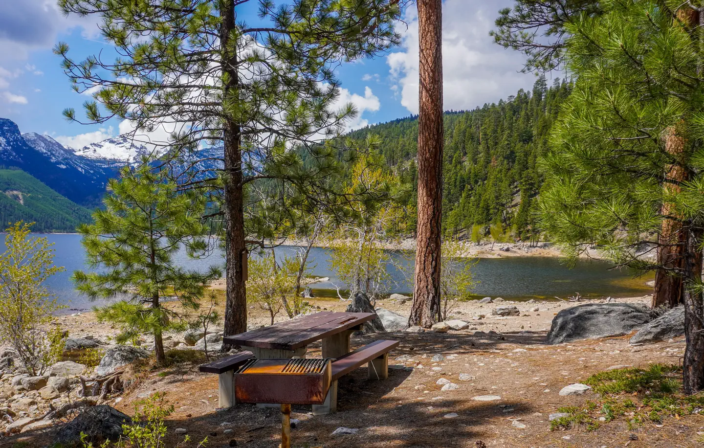 WOODS CABIN