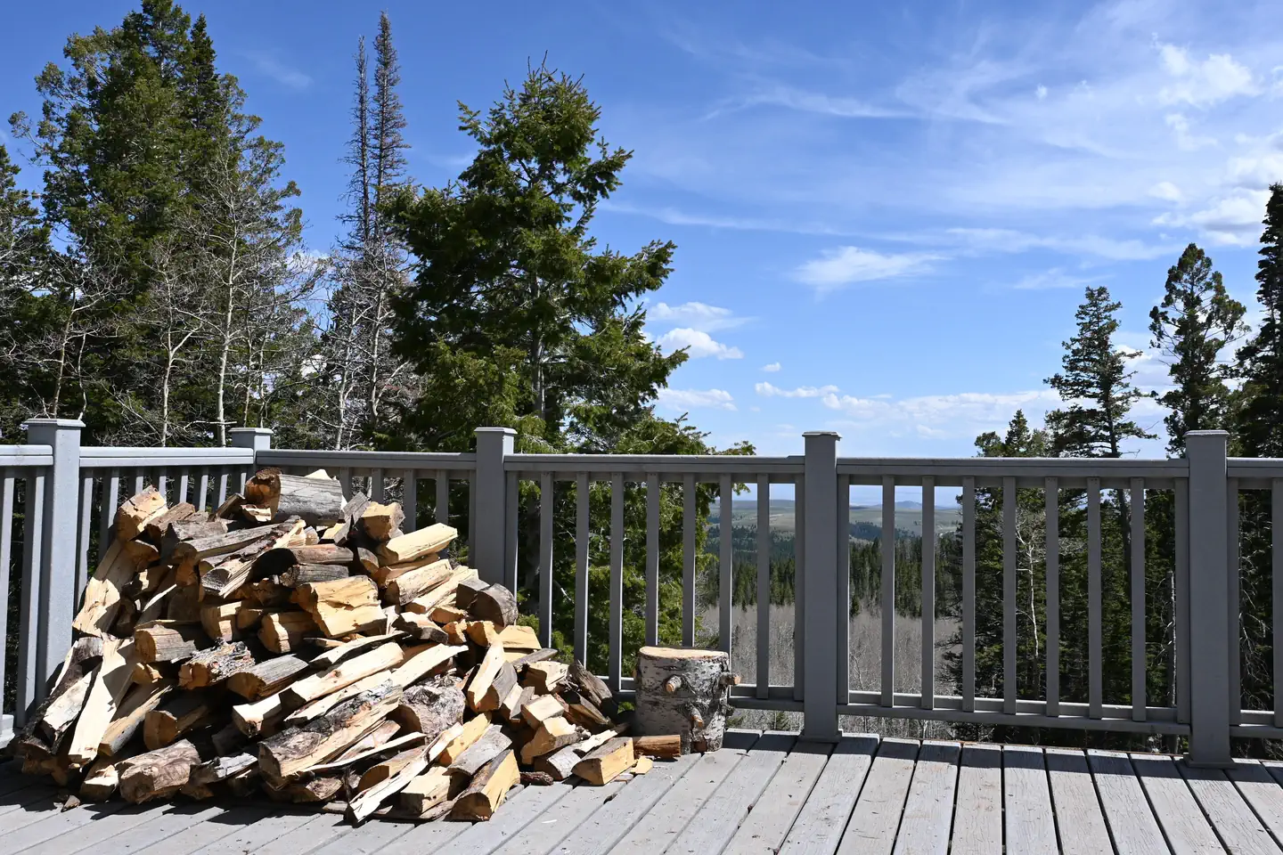 GRIZZLY RIDGE YURT