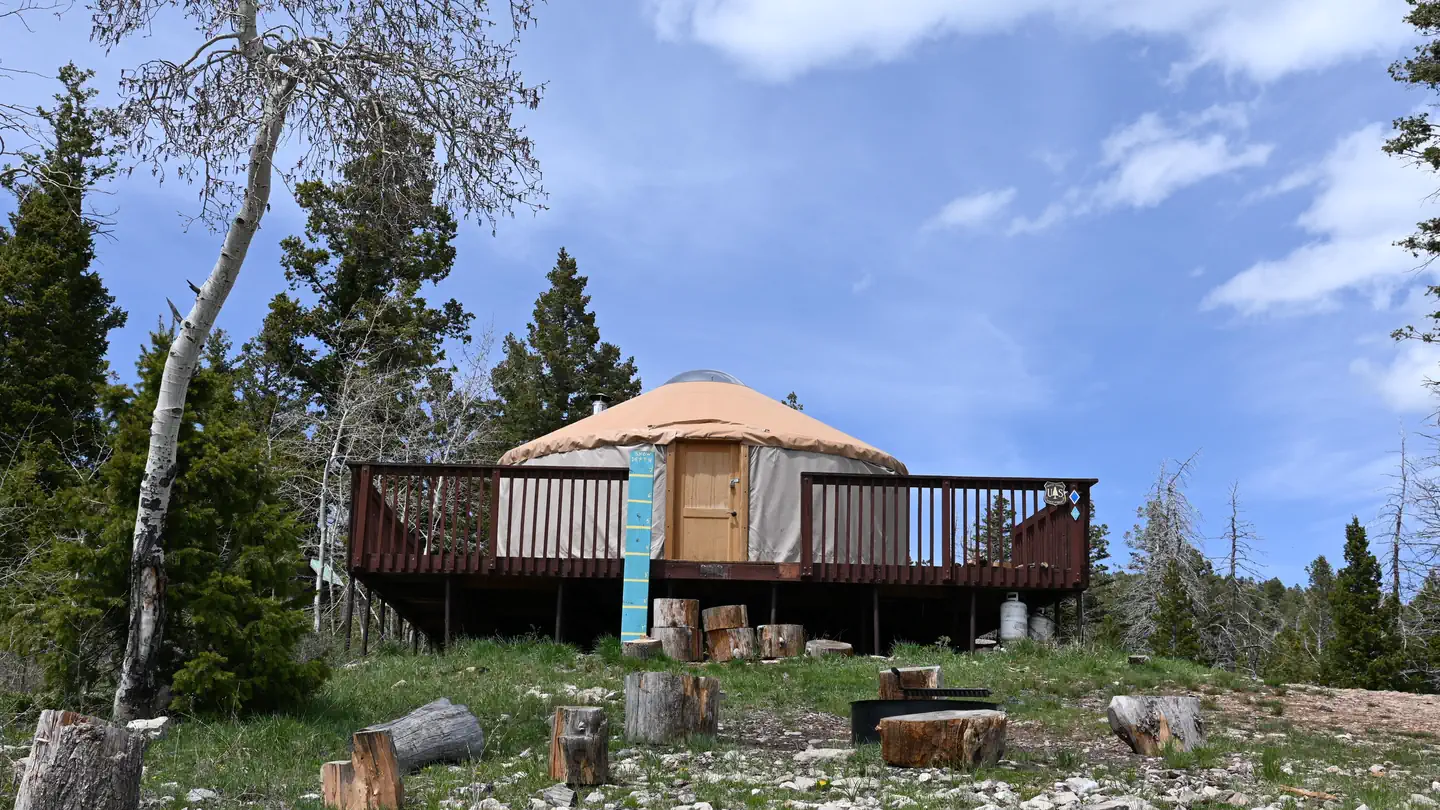 LIMBER FLAG YURT