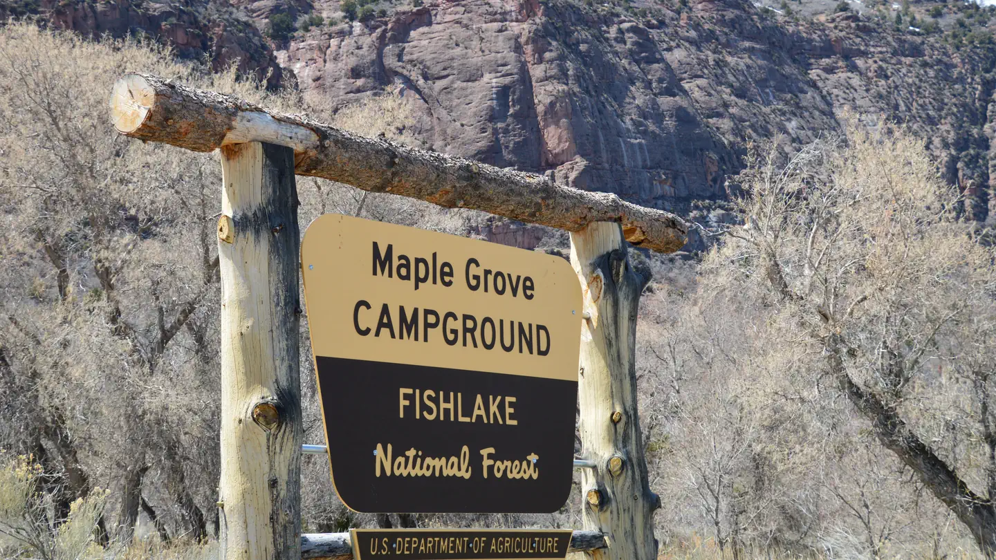 MAPLE GROVE