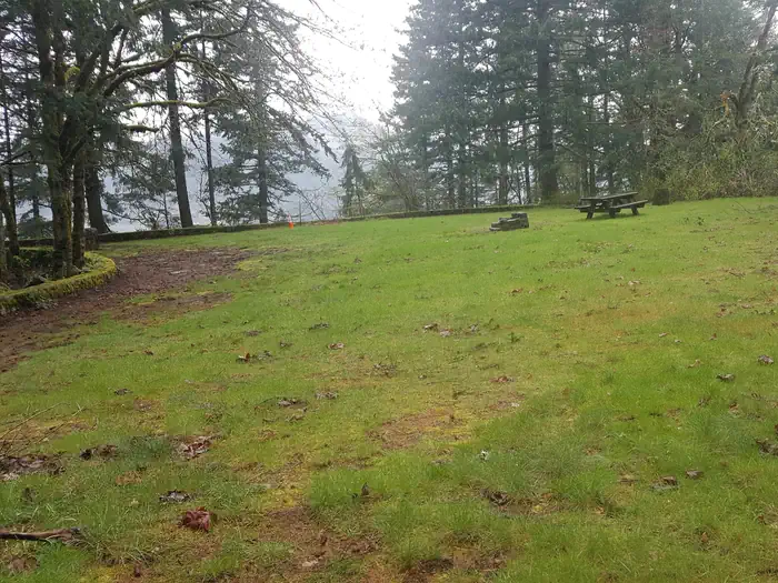 Overlook grassy play and picnic area