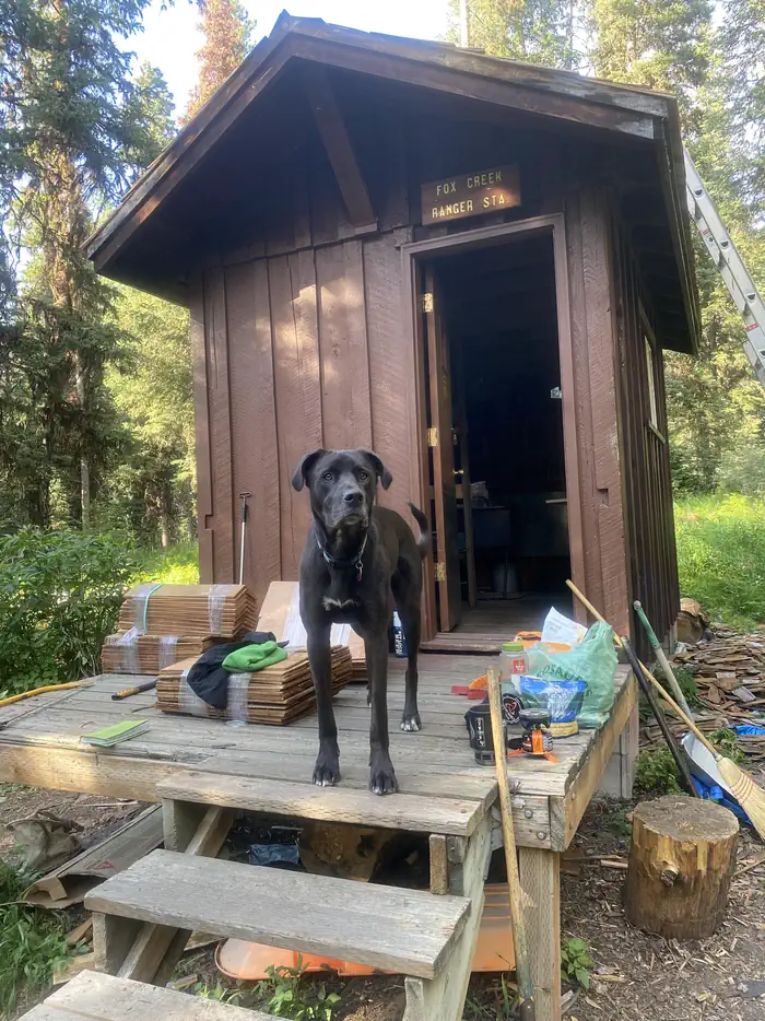 Front of cabin