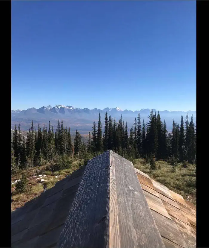 Hornet view