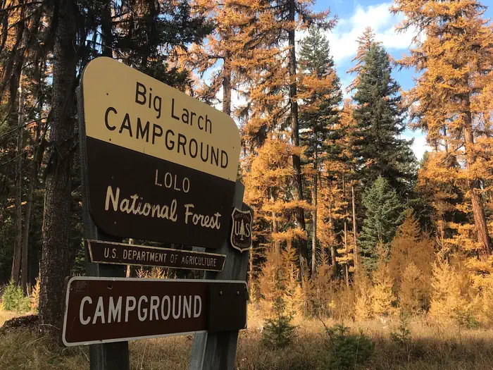 Big Larch Campground Entrance Sign. It reads: Big Larch Campground, Lolo National Forest, U.S. Department of Agriculture, Campground. Western Larch trees displaying fall colors can be seen in the background.
