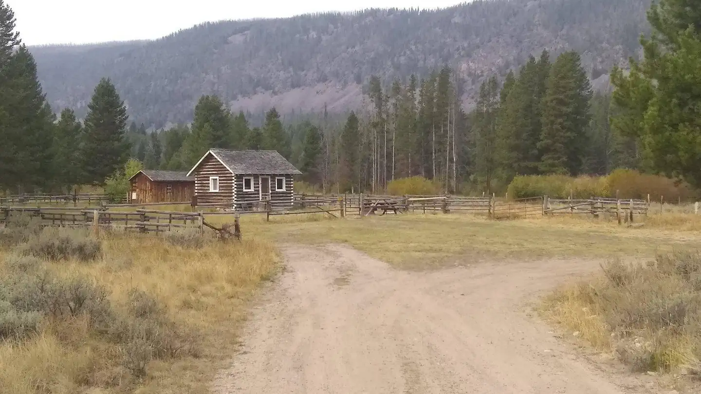 moose area