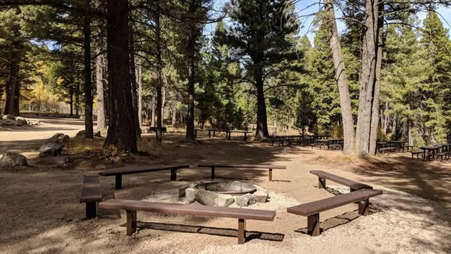 New Group Area Fire Ring