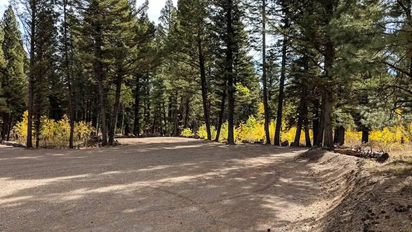 New Group Area Parking