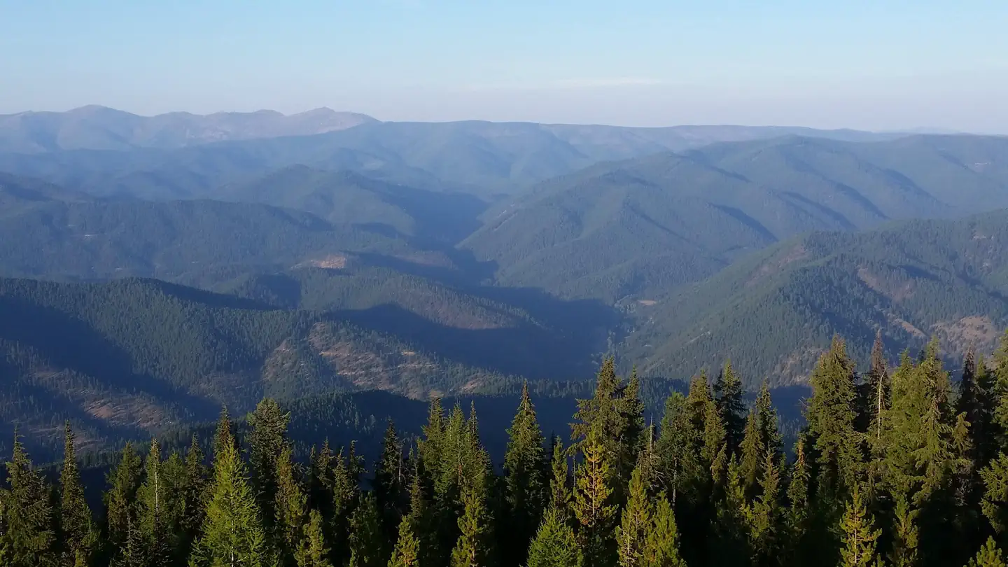 UP UP LOOKOUT