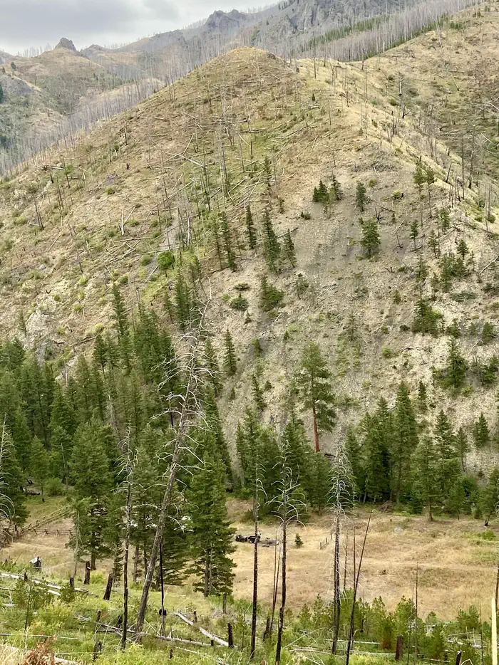 Overlooking Deer Creek Cabin