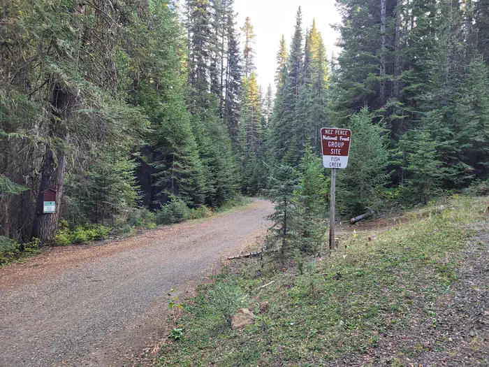 Fish Creek Group Site pic 11