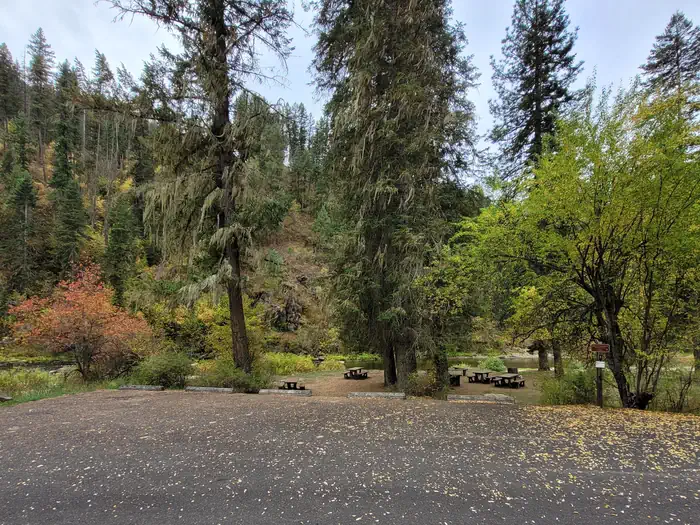 South Fork Site #5