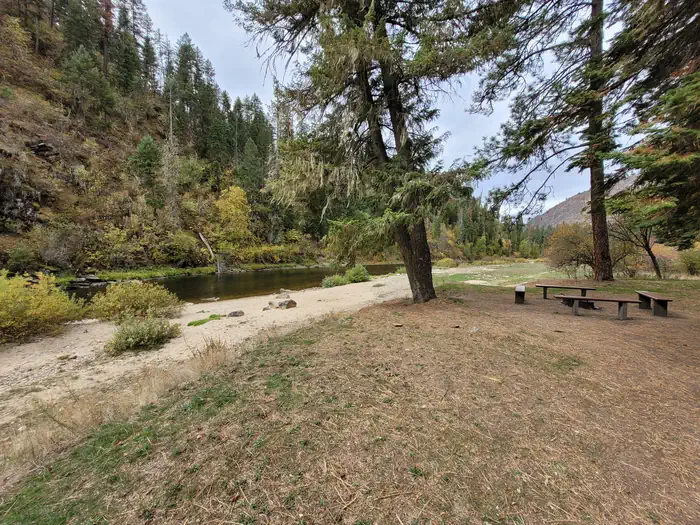 South Fork Site #5, River