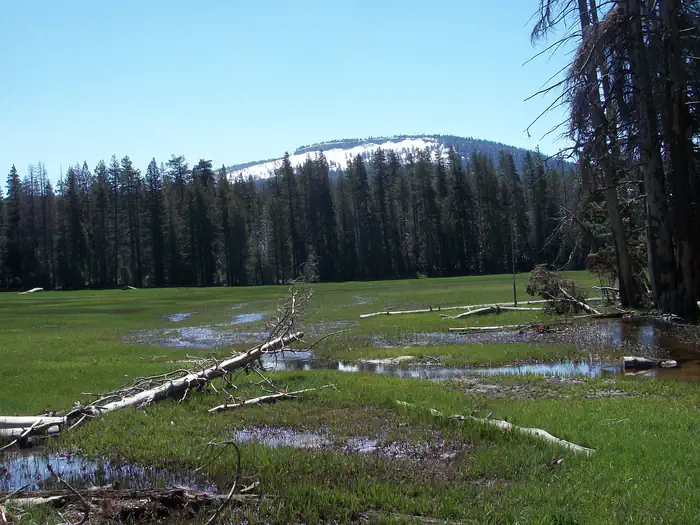 Big Meadows