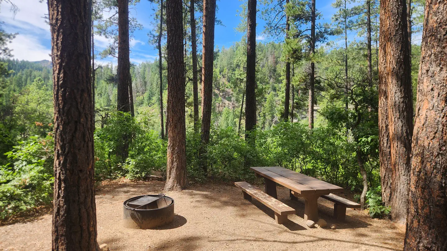 JUNCTION CREEK CAMPGROUND