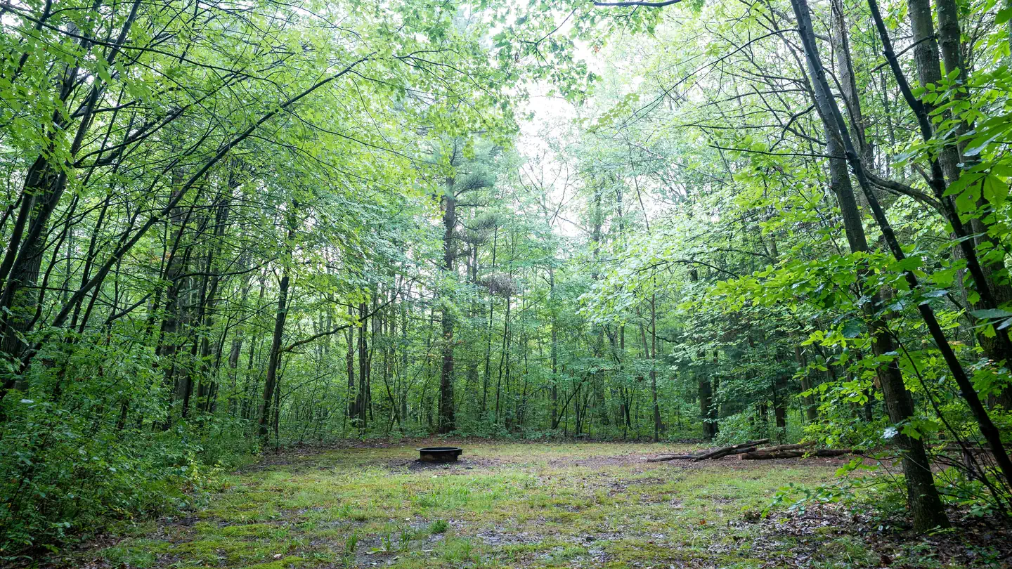 Potomac Group Camp 7