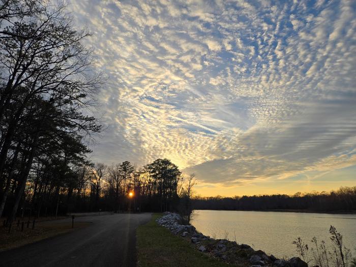 JENNINGS FERRY