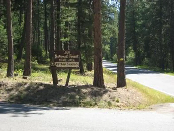 Pattee Picnic Entrance